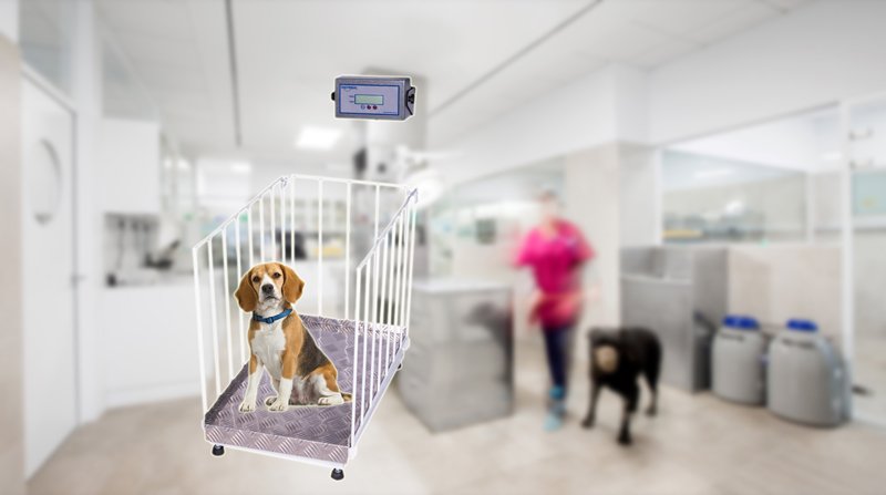 balanza para veterinaria bv