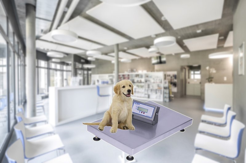 balanza de veterinaria